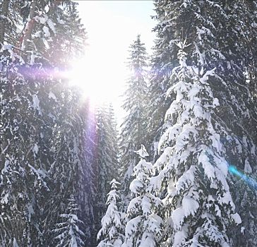 du doan xs 3