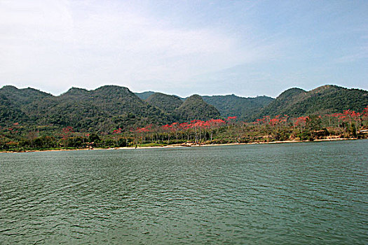 chơi lô tô online