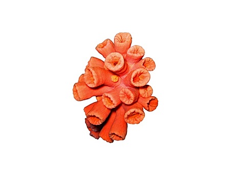 soi cầu xổ số miền bắc hôm nay