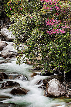 soi cau 247 khung 3 ngay