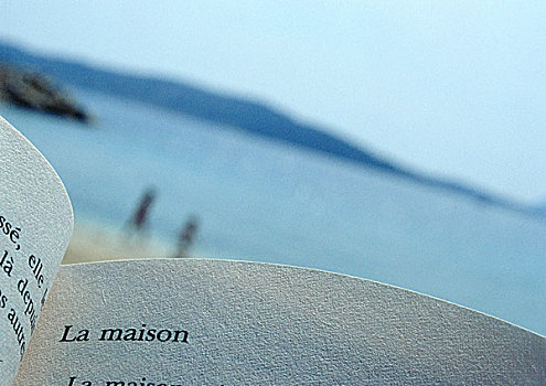 sỗ mien bac
