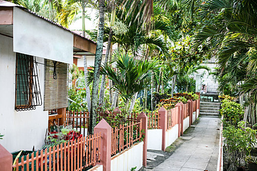 soi cau theo thang