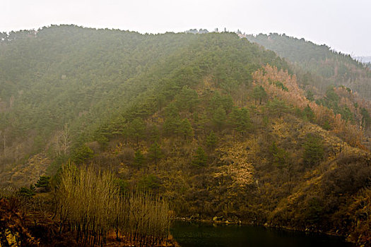 soi lo bạch thủ