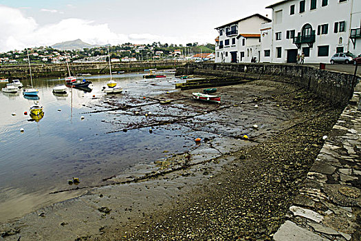 da ga cua dao