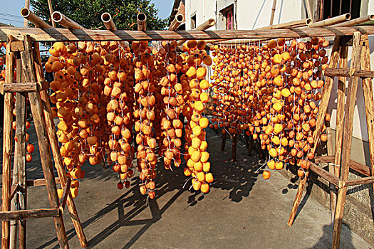 xổ số vĩnh long hôm nay