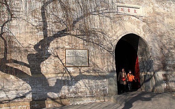 hội đồng soi cầu 888