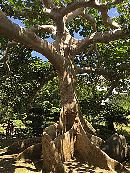 đánh lô trực tuyến