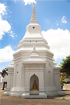 du doan soi cau