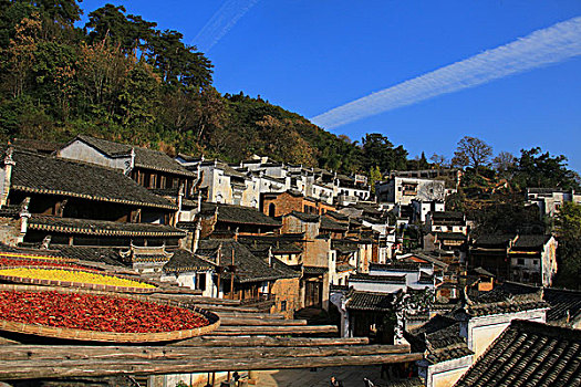 soi cau rong vang