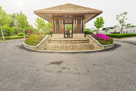 soi cau mb 6666