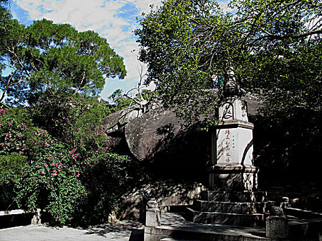 soi cau lo gan