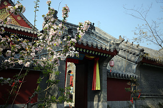 lo chuan mien bac