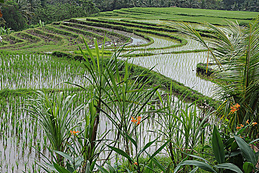 xổ số thành phố thứ 2