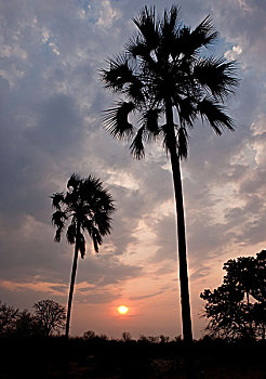 xổ số 90 ngày