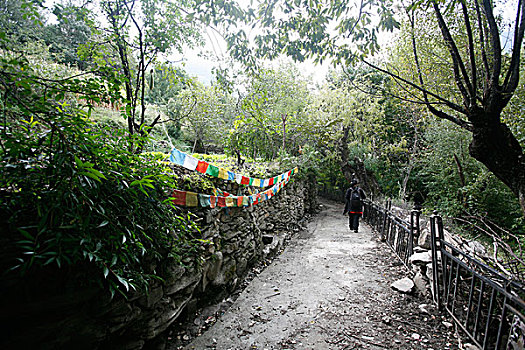 dự đoán xổ số than tai