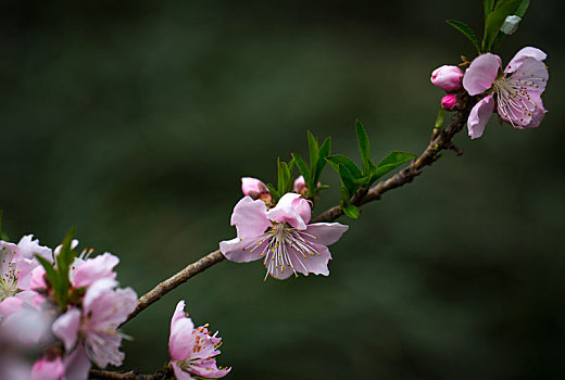 cách đánh đề hiệu quả