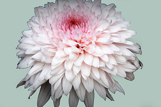 xổ số quảng ngãi