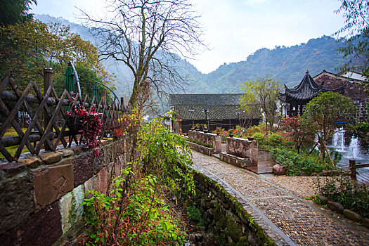 lô ba càng
