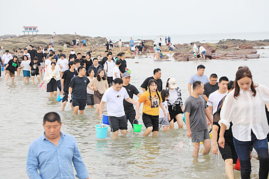 soi cầu online