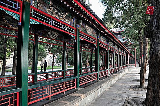 soi cau lo chinh xac