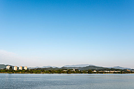 bach thu de ngay mai