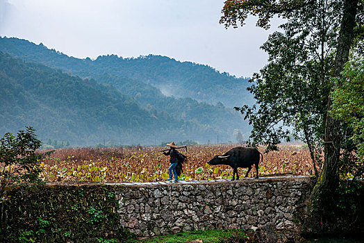 soi cầu miễn phí