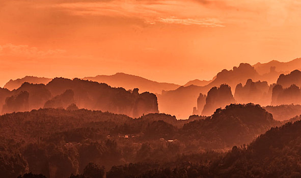 soi cau bach kim mien phi