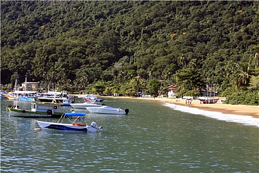 soi cau bach thu mien bac 24 gio