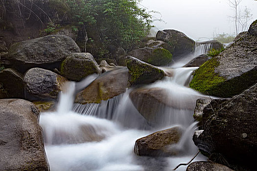 quốc tịch germany