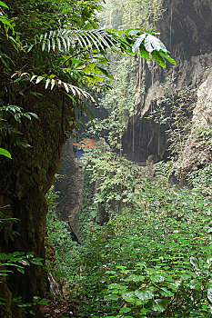lo bach thu khung 5 ngay