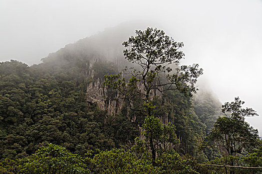 xổ sô