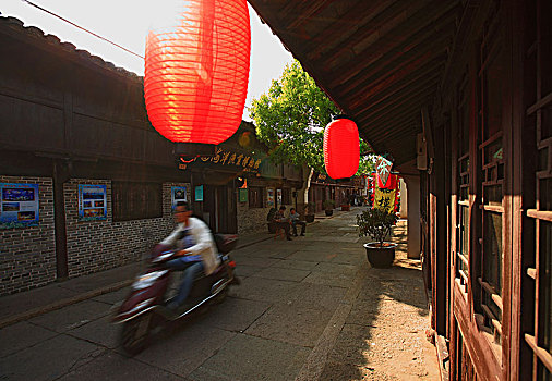 cầu bạch thủ long an