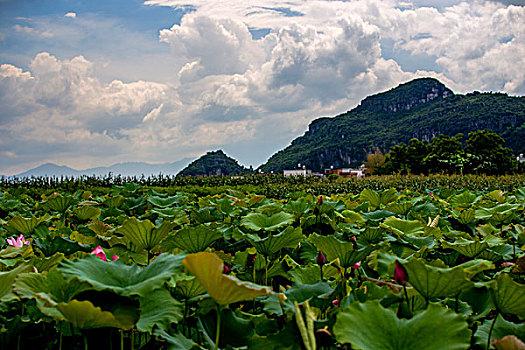 soi cầu lô mb