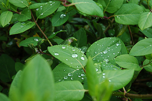 dự đoán lô đề