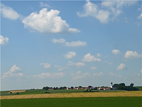 soi câu bach kim