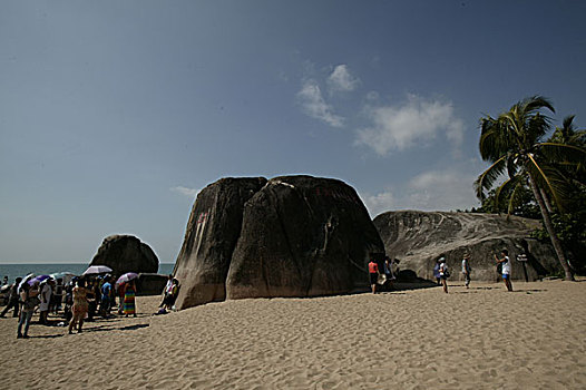 rong bach kim hai nhay