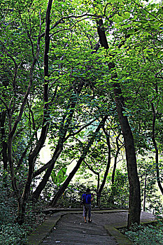 soi cau 2 nhay rong bach kim