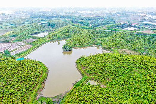 soi cầu ưin2888