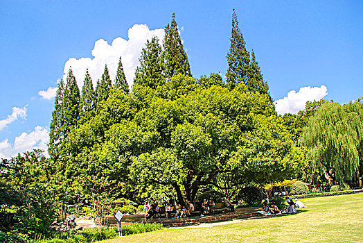 xô số hôm nay