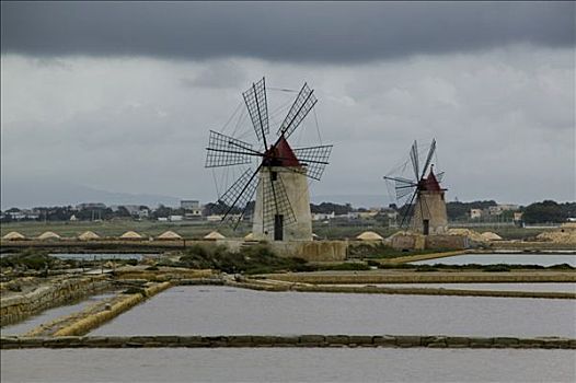 cầu bạch thủ lô
