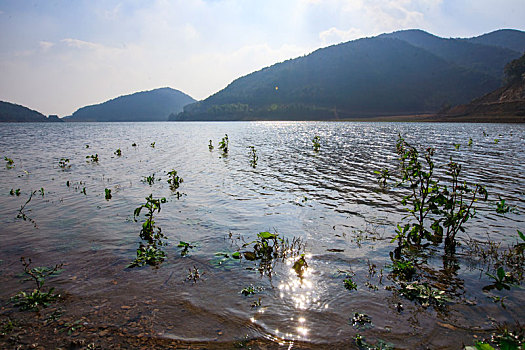 miền bắc hôm qua