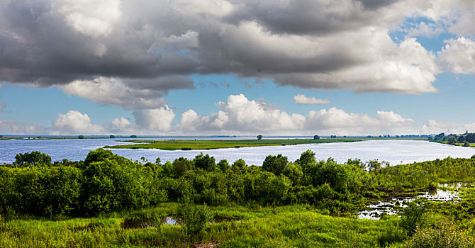 đề hôm nay con gì