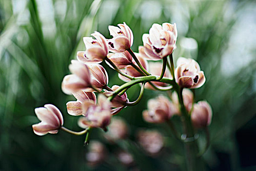 xo so mb thu 4