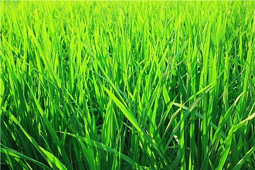 dự đoán 3 càng hôm nay