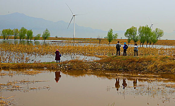 thống kê soi cầu