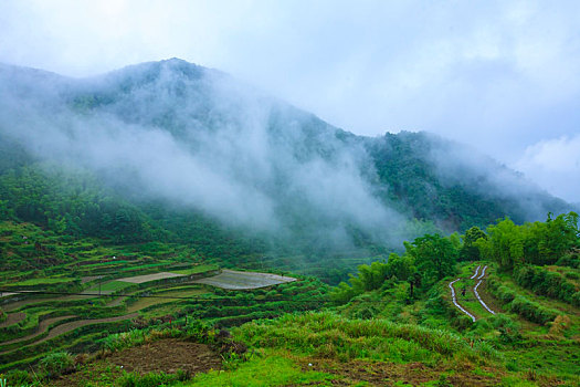 soi cau phat loc tron doi
