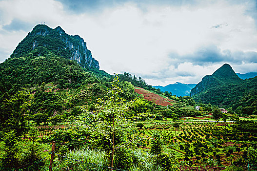 dan song thu lo