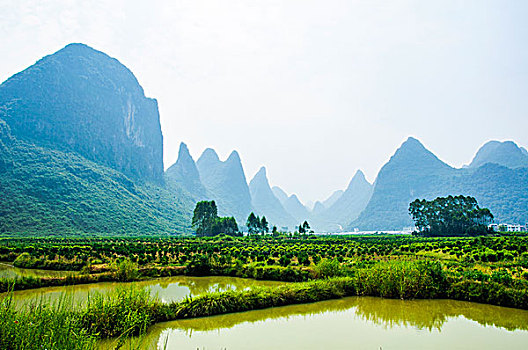 dự đoán miền bắc