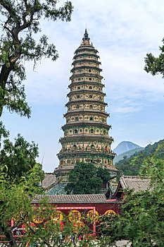 soi cau thu đo