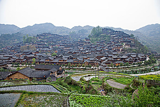 quay thu kqxsmb